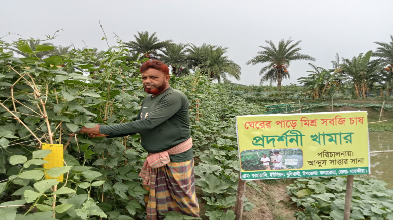 কলারোয়ার কামারালী এখন আদর্শ গ্রাম: নেপথ্যে উদ্যোক্তা আব্দুস সাত্তার সানা