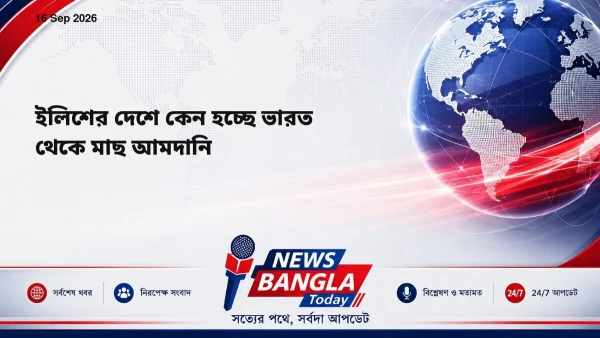 ইলিশের দেশে কেন হচ্ছে ভারত থেকে মাছ আমদানি