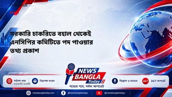 সরকারি চাকরিতে বহাল থেকেই এনসিপির কমিটিতে পদ পাওয়ার তথ্য প্র