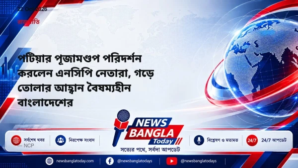 পটিয়ার পূজামণ্ডপ পরিদর্শন করলেন এনসিপি নেতারা, গড়ে তোলার আহ