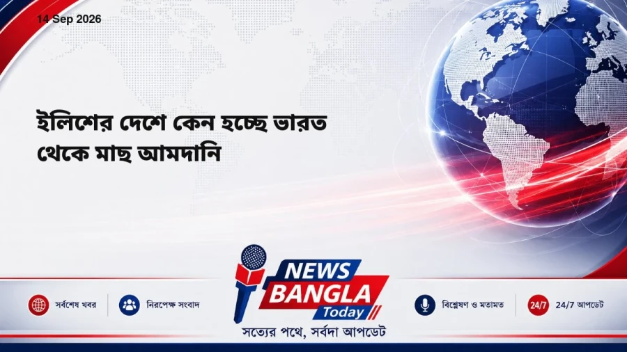 ইলিশের দেশে কেন হচ্ছে ভারত থেকে মাছ আমদানি