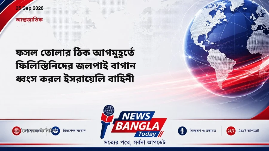 ফসল তোলার ঠিক আগমুহূর্তে ফিলিস্তিনিদের জলপাই বাগান ধ্বংস করল ইসরায়েলি বাহিনী