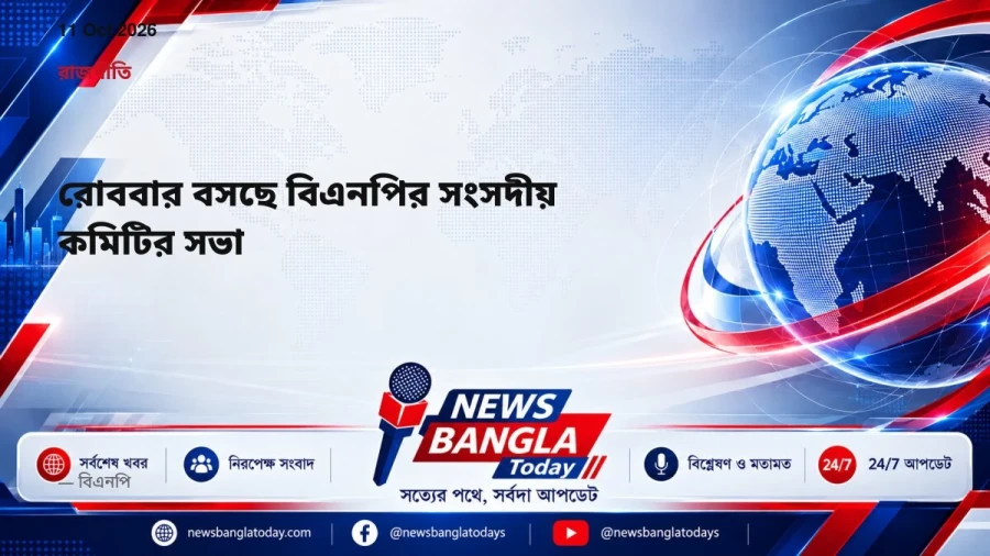 রোববার বসছে বিএনপির সংসদীয় কমিটির সভা